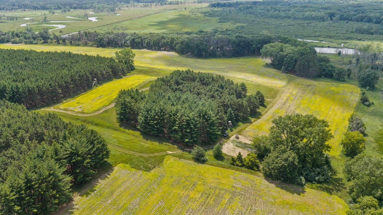 135 Acres Lueck Lane