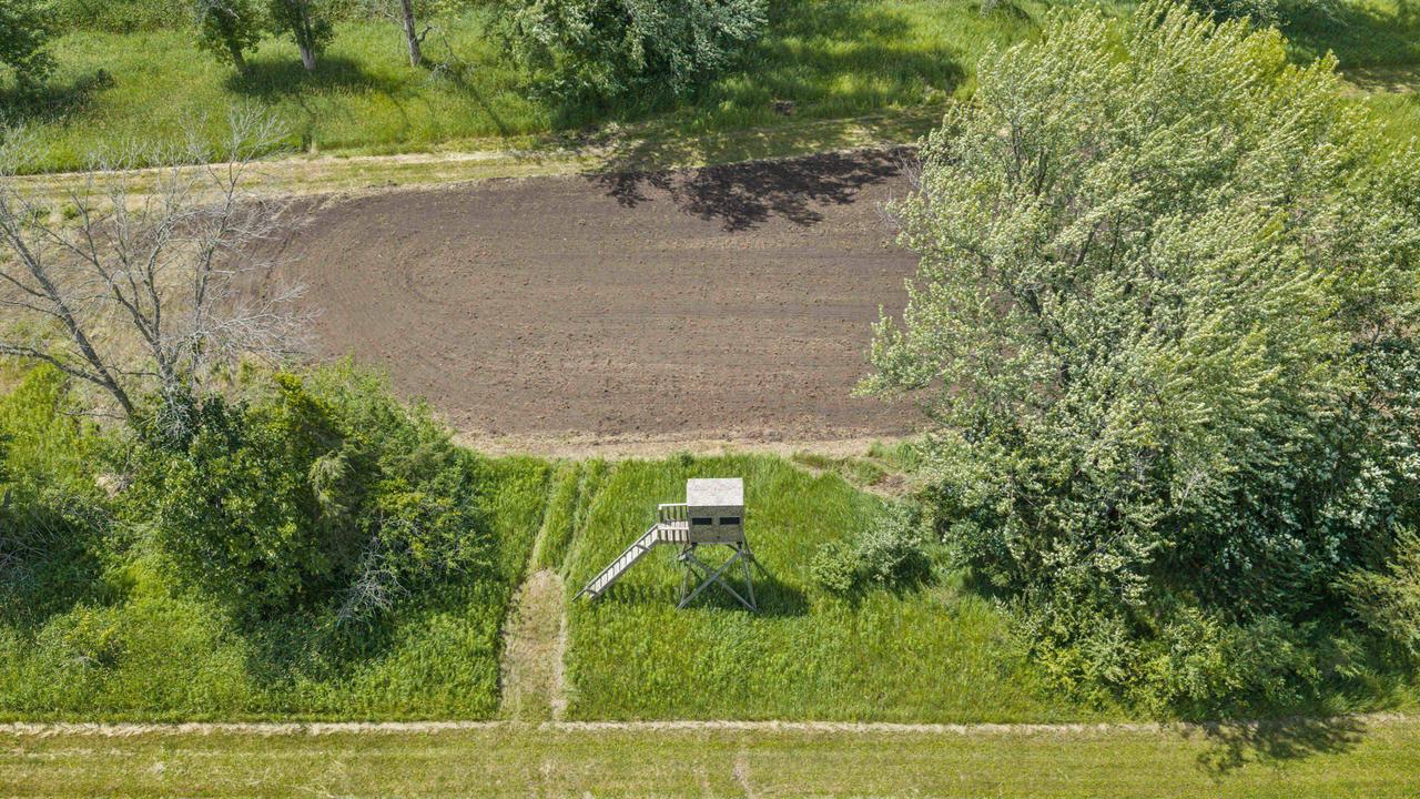 135 Acres Lueck Lane