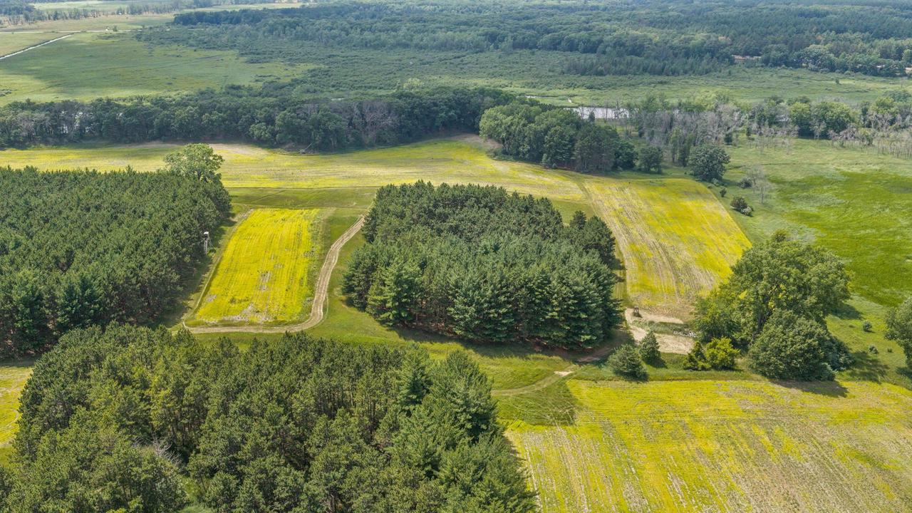 135 Acres Lueck Lane
