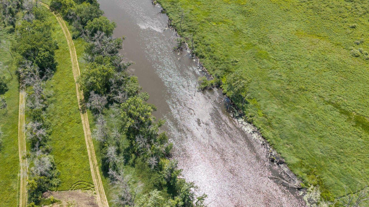 135 Acres Lueck Lane
