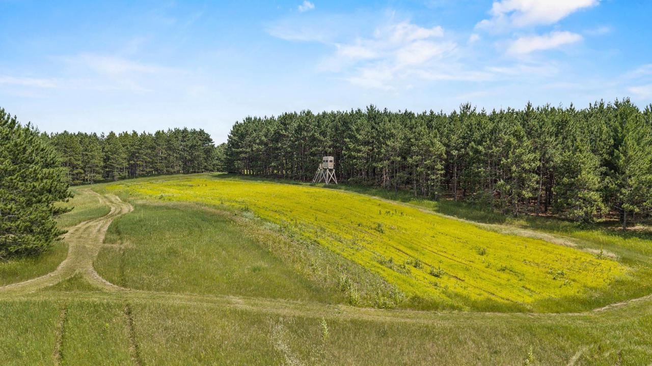 135 Acres Lueck Lane