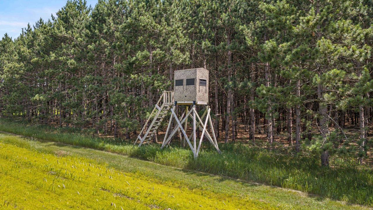 135 Acres Lueck Lane