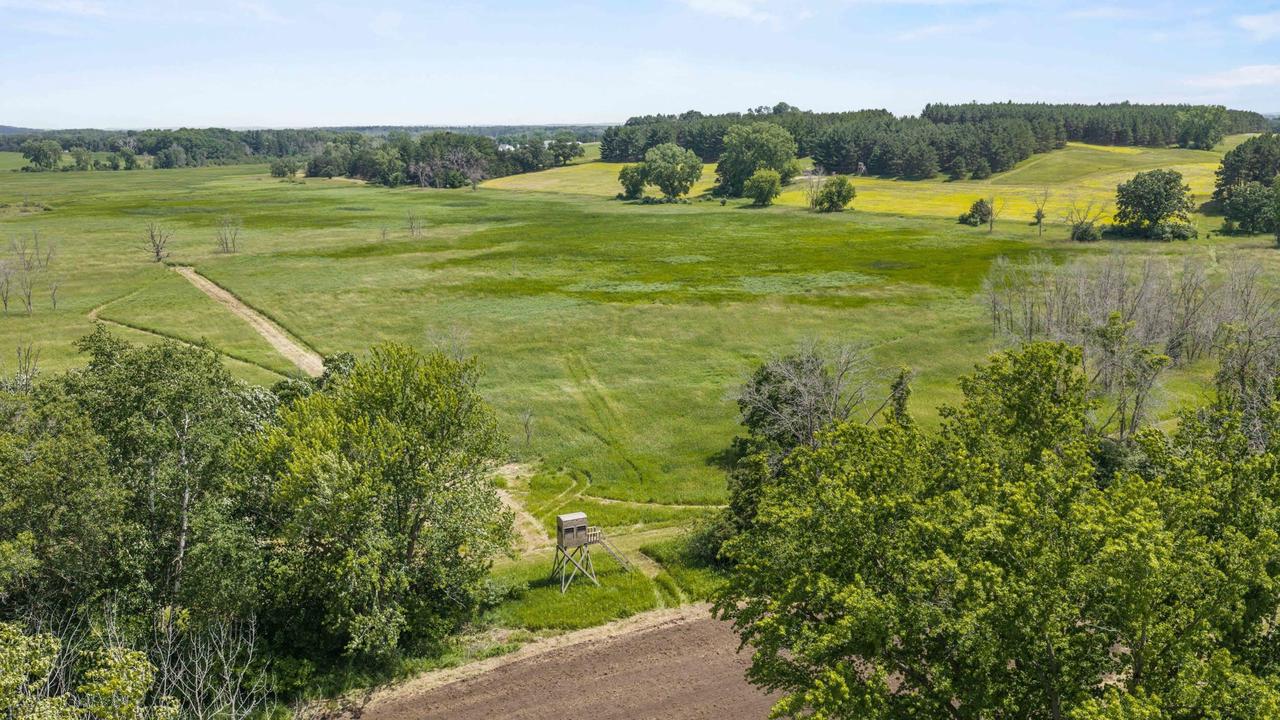 135 Acres Lueck Lane