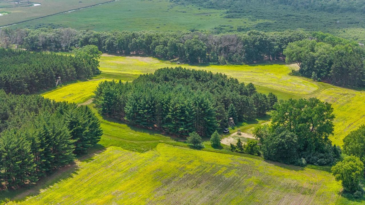 135 Acres Lueck Lane