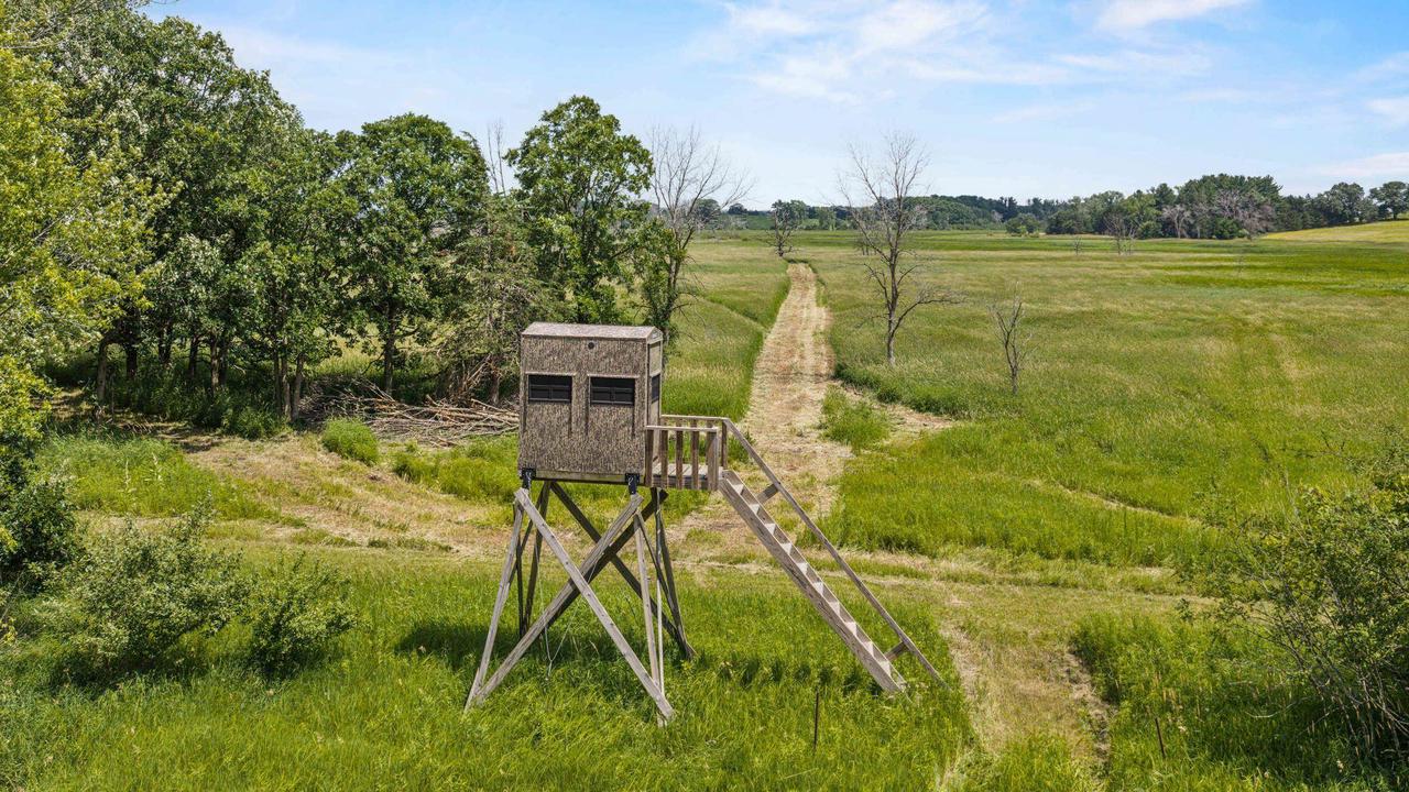 135 Acres Lueck Lane