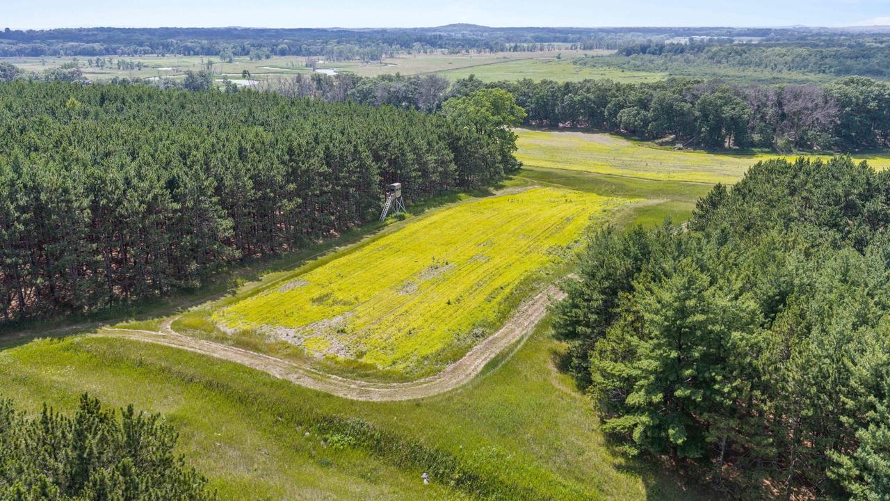 135 Acres Lueck Lane