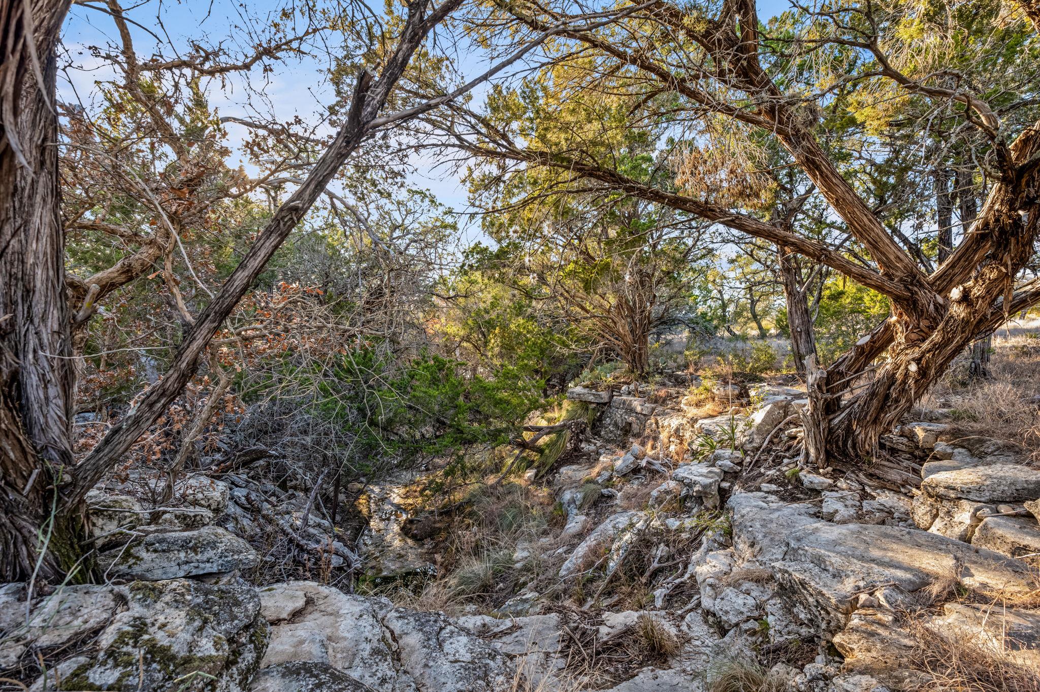 4300 Travis Peak TRL