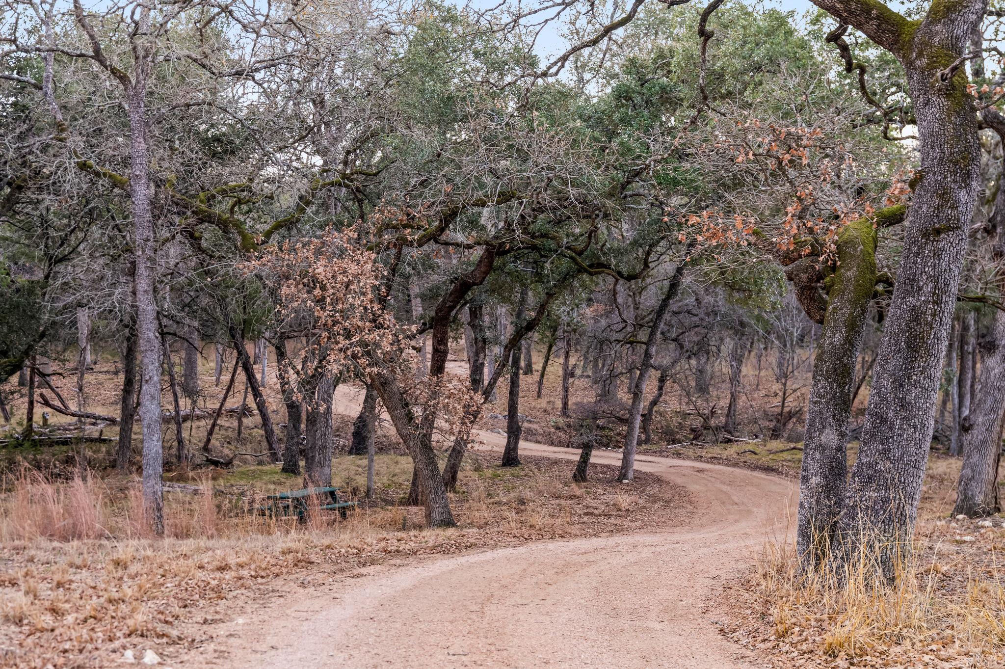 4300 Travis Peak TRL