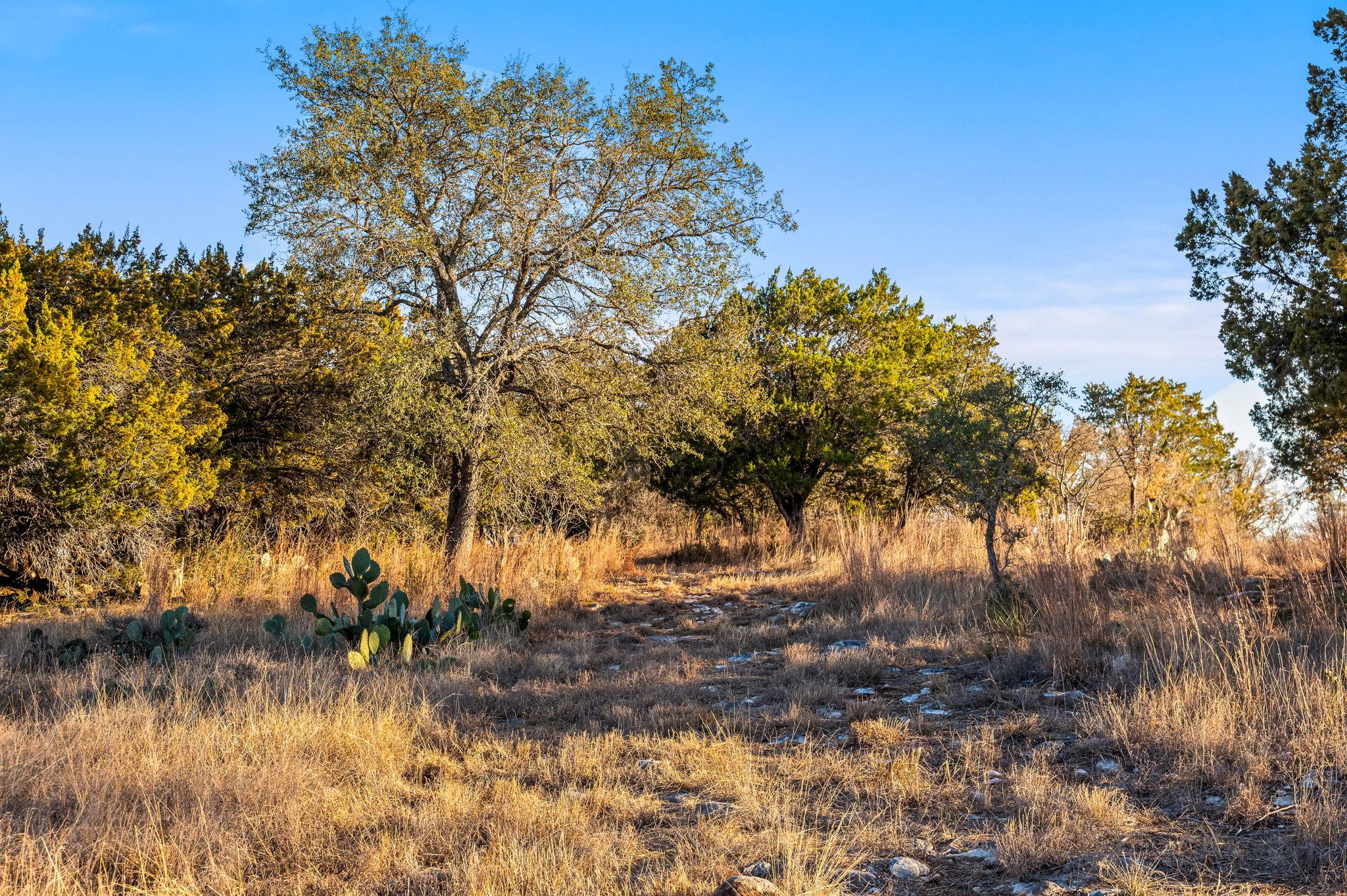 4300 Travis Peak TRL