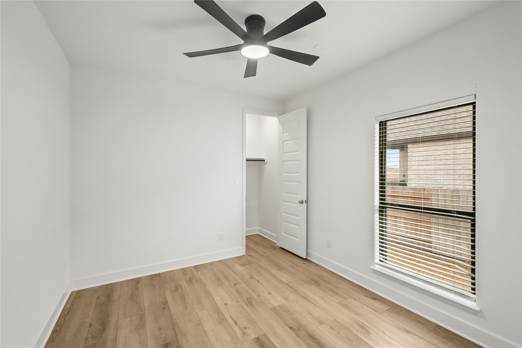 135 Plumbago LOOP