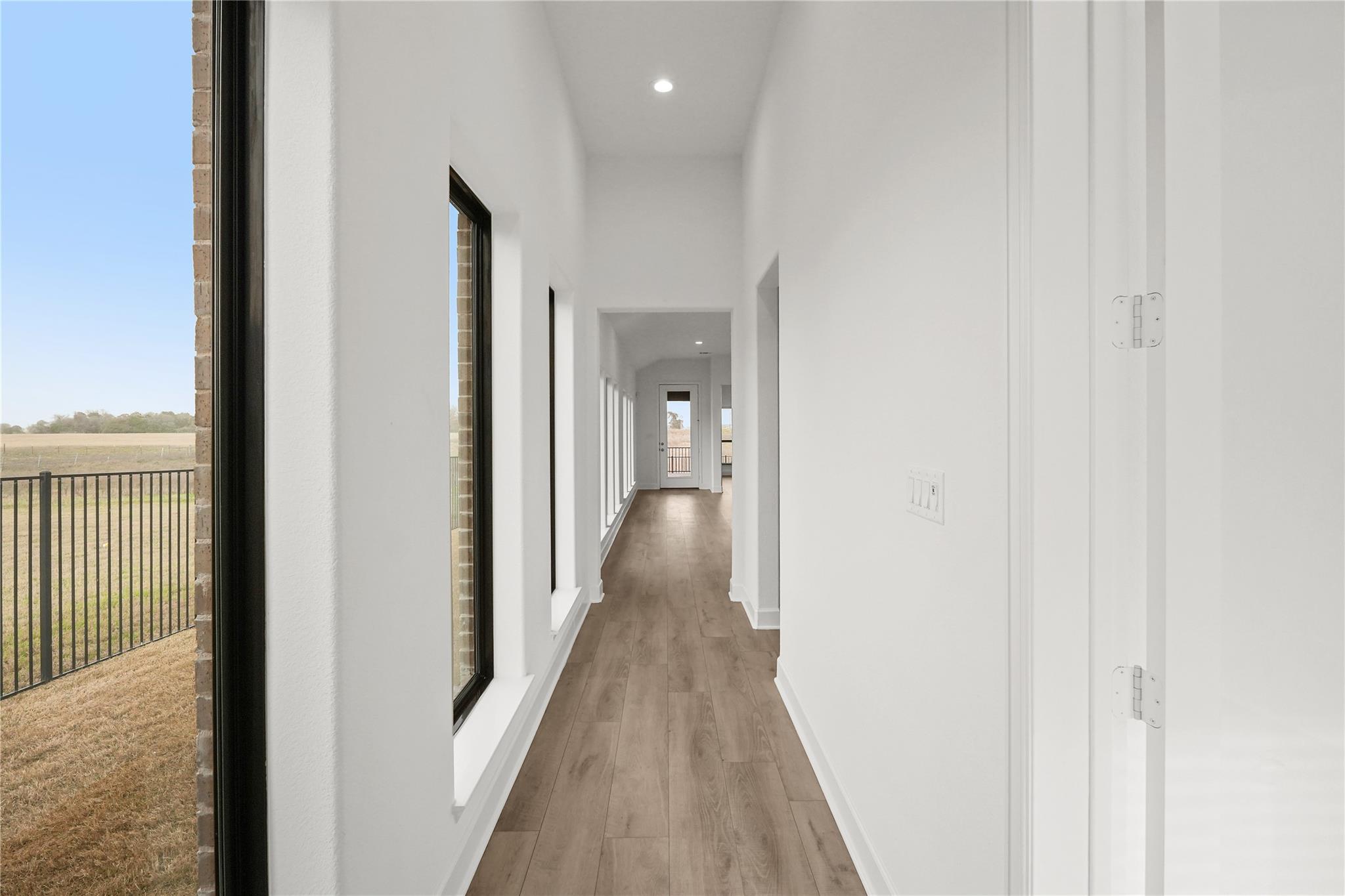 135 Plumbago LOOP