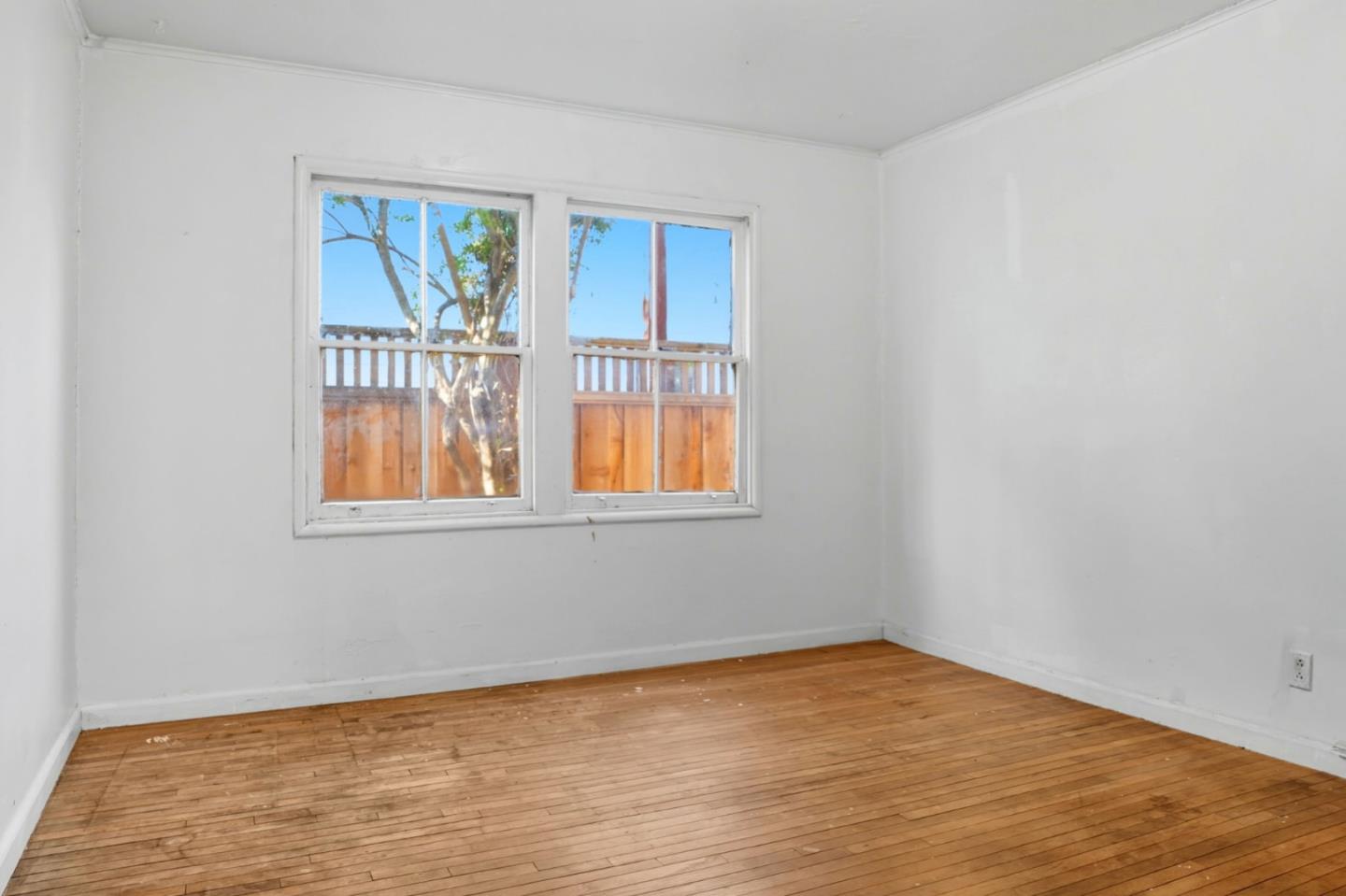 1053 Ringwood Avenue