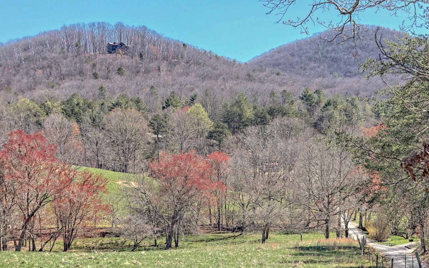 600 Bonnie's Vista