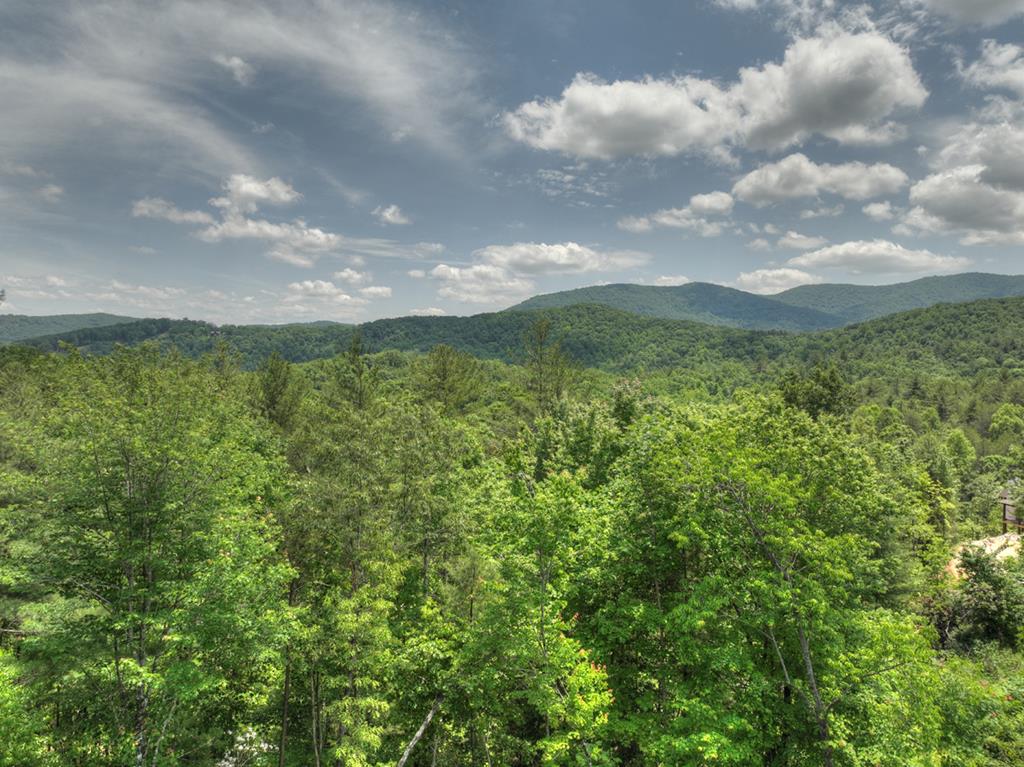 401 Foster Cove Rd