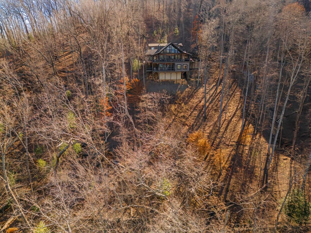 224 Flint Rock Lane