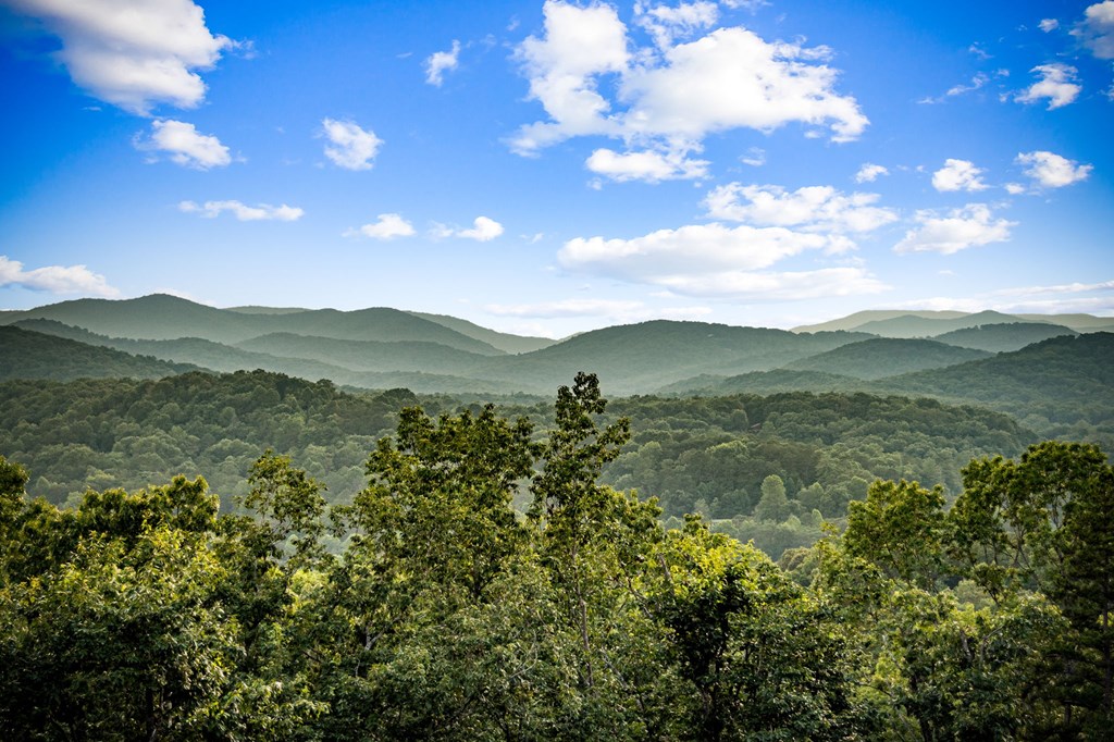 825 Price Road