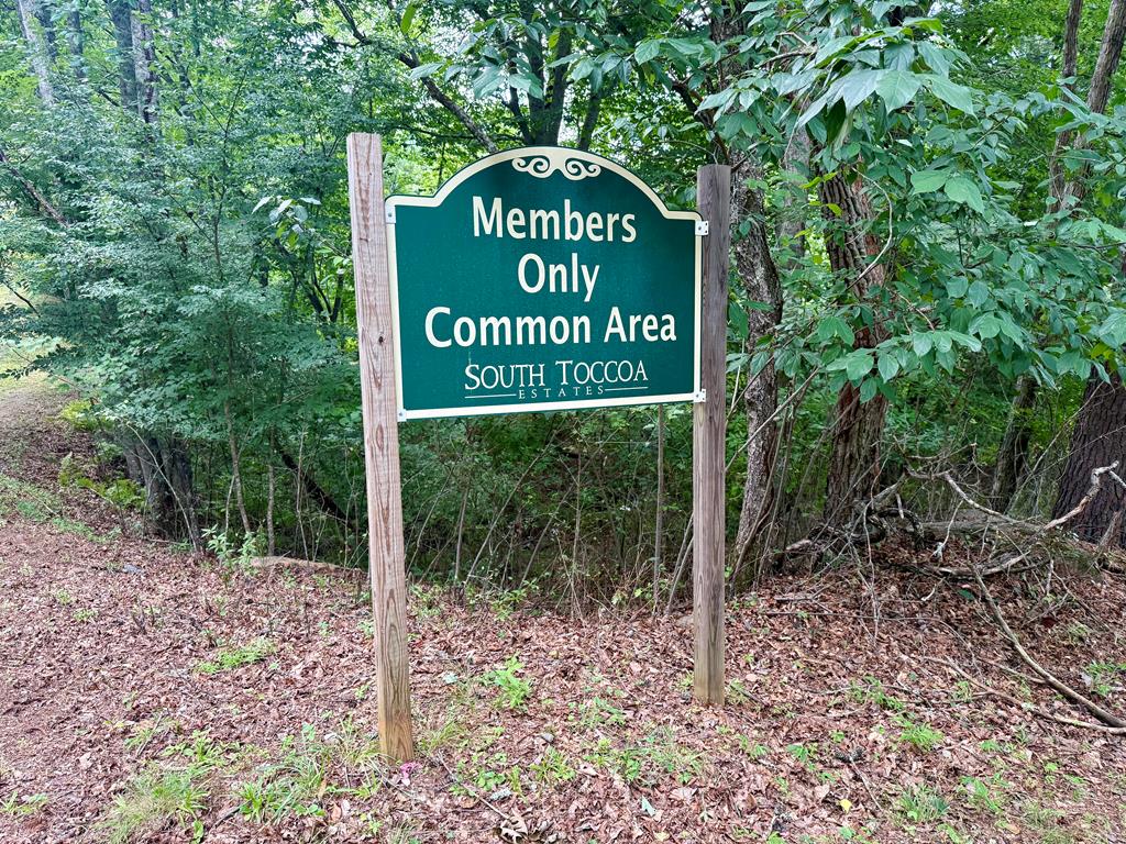 98 Shalom Lane