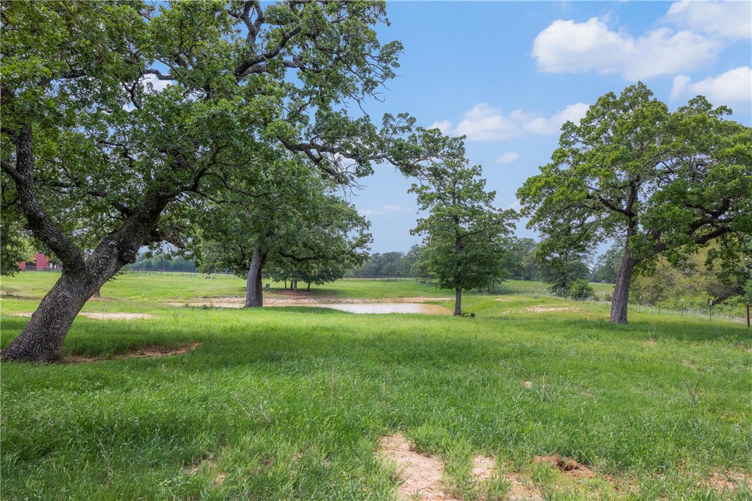 1016 County Road 306