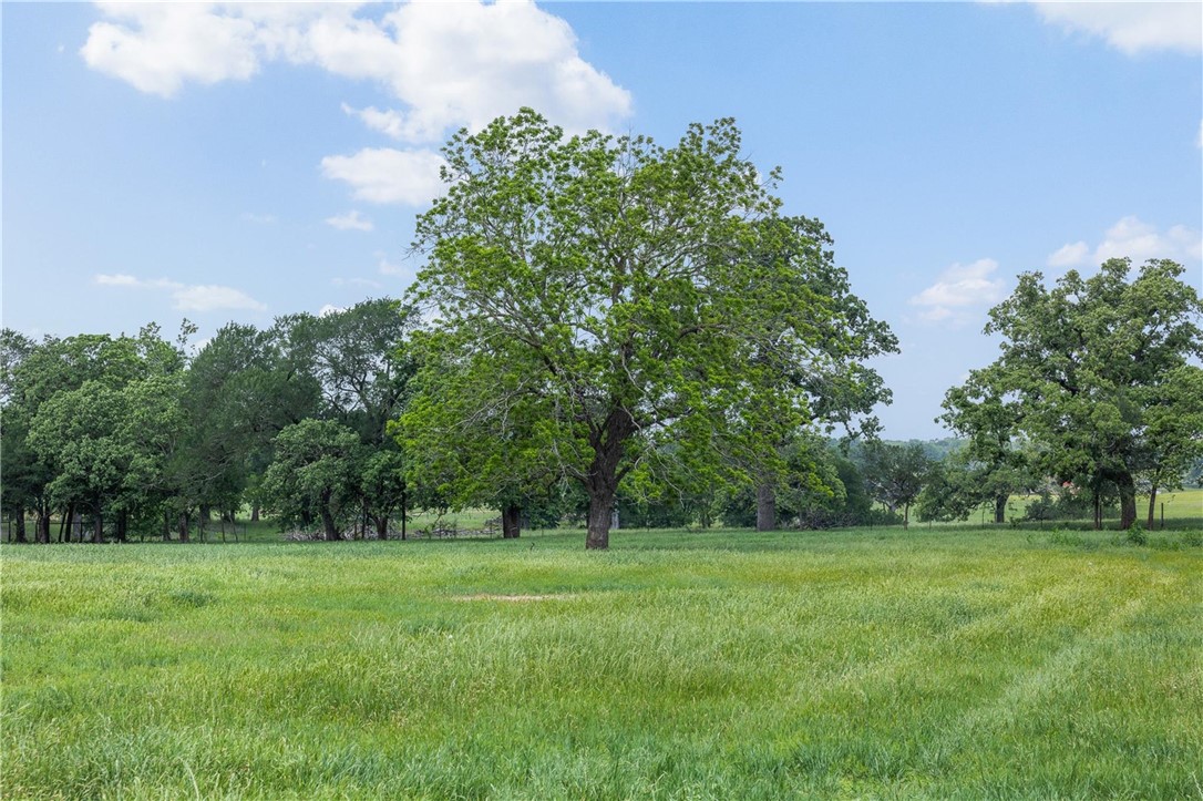 1016 County Road 306