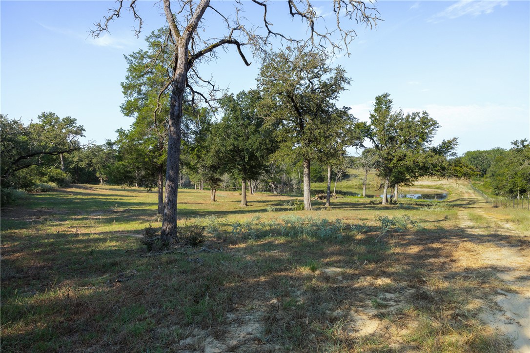 11789 2095 Farm to Market Road