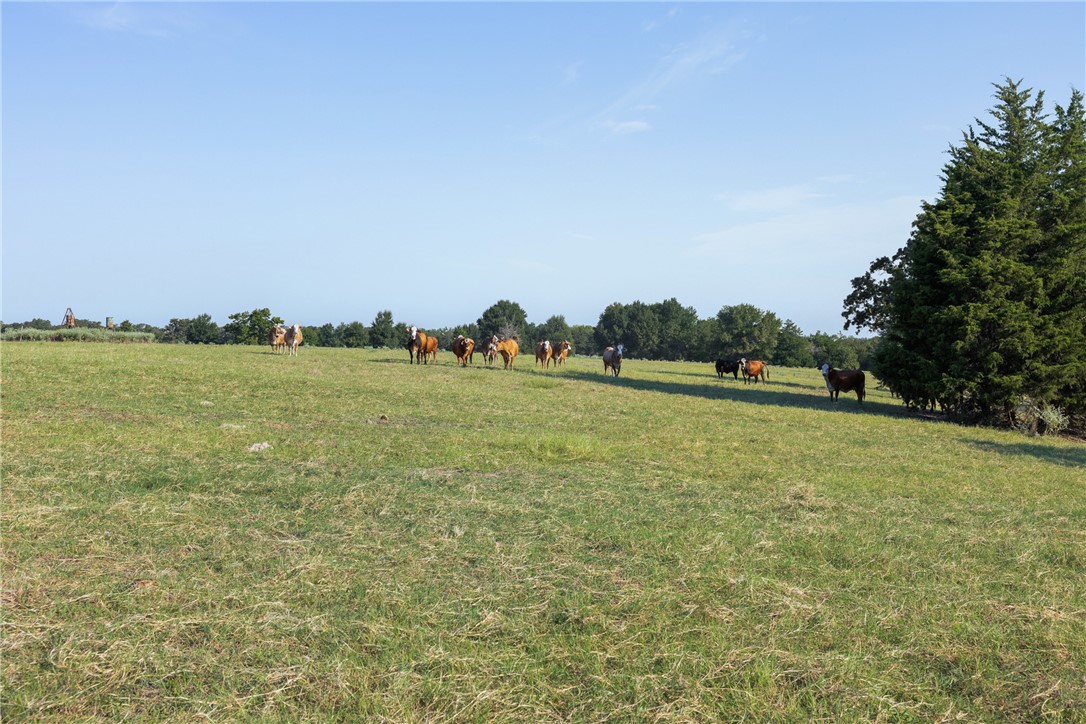 11789 2095 Farm to Market Road