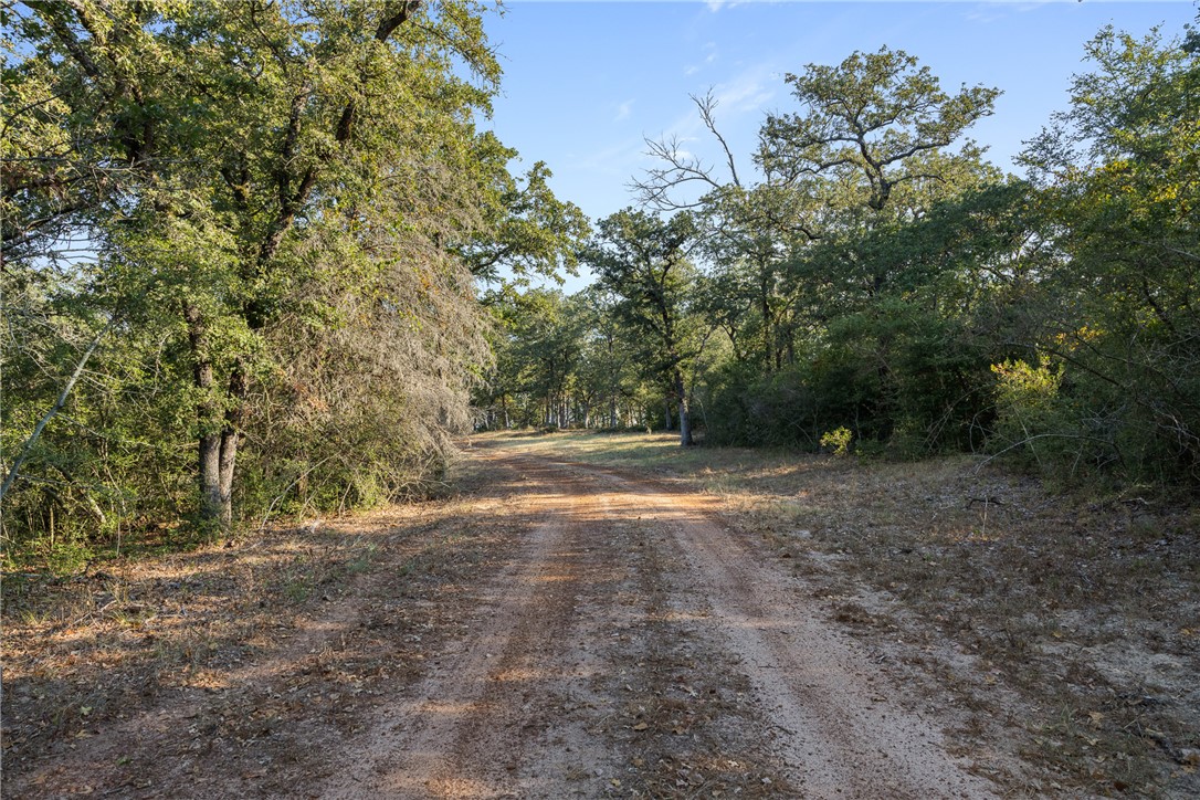 11789 2095 Farm to Market Road