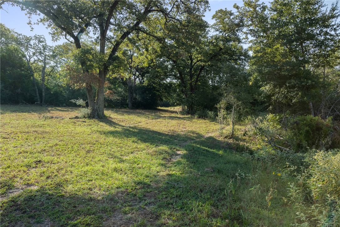 11789 2095 Farm to Market Road