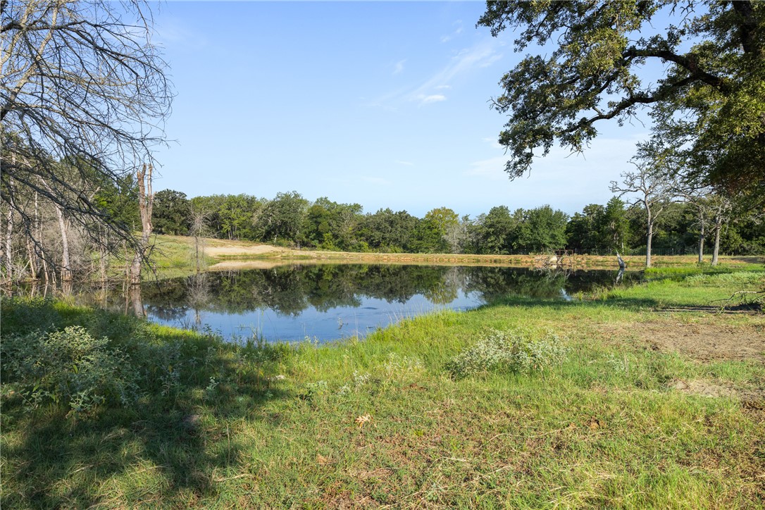11789 2095 Farm to Market Road