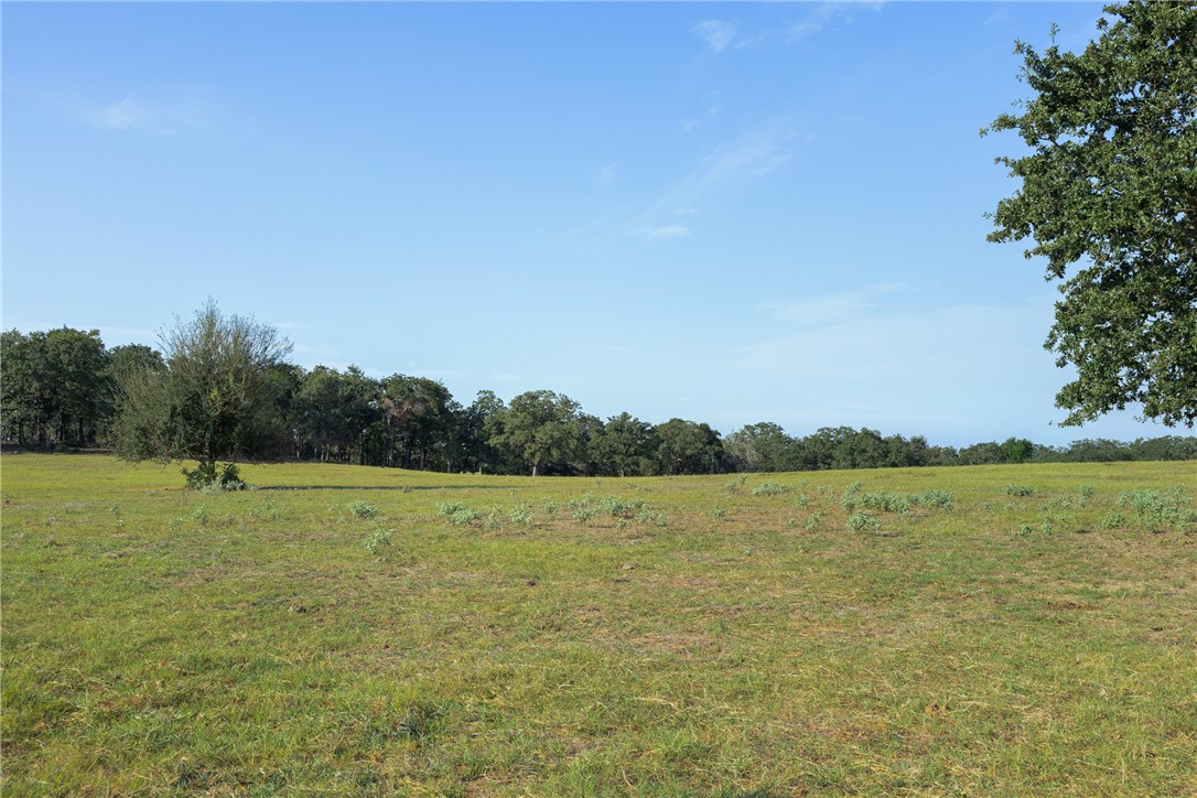 11789 2095 Farm to Market Road