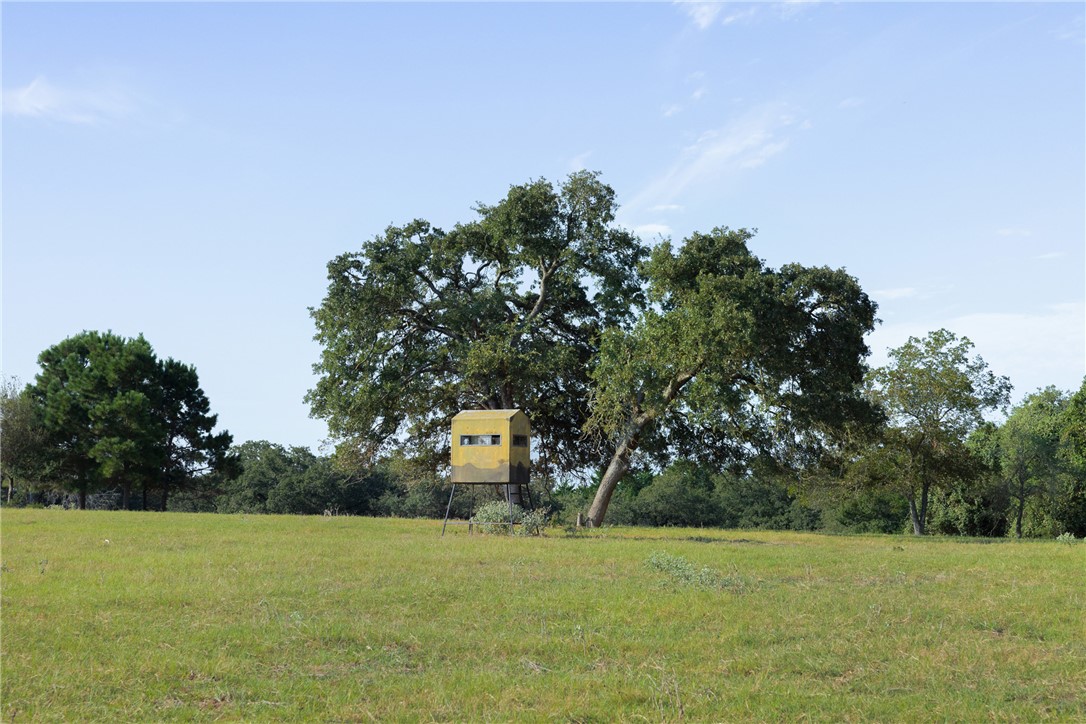 11789 2095 Farm to Market Road