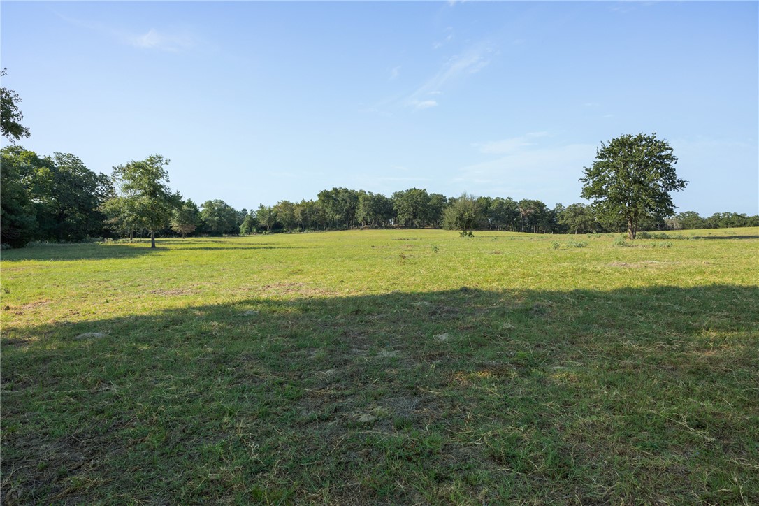 11789 2095 Farm to Market Road