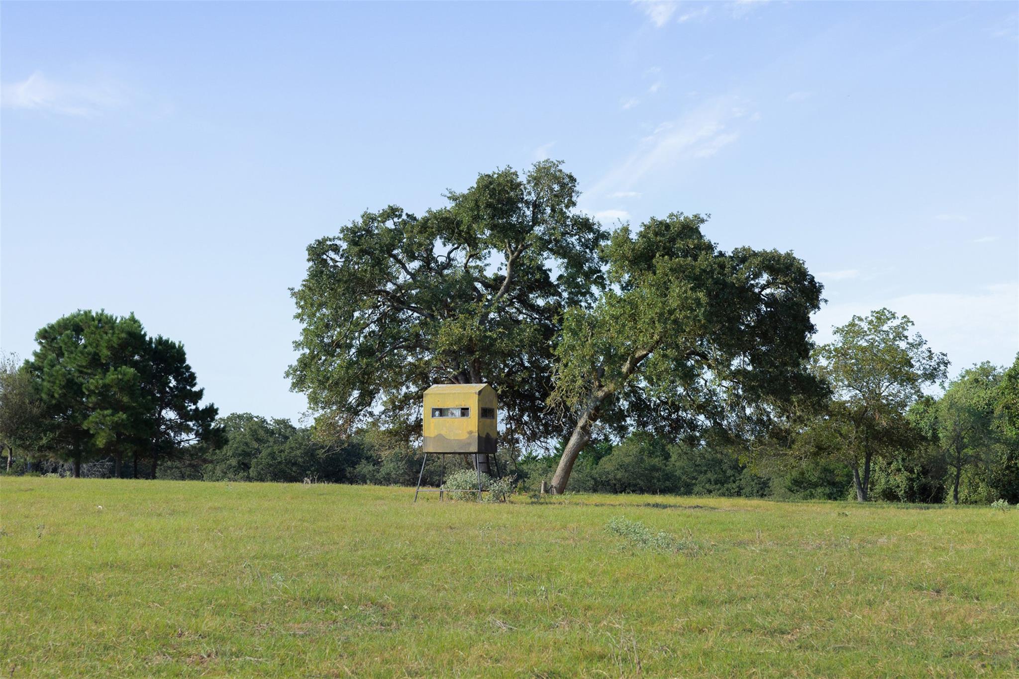 11789 FM 2095