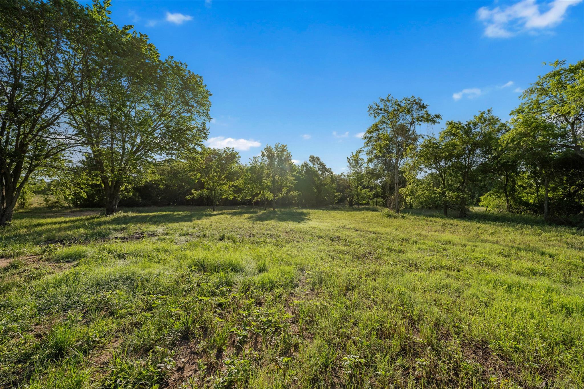 3009 S Highway 77