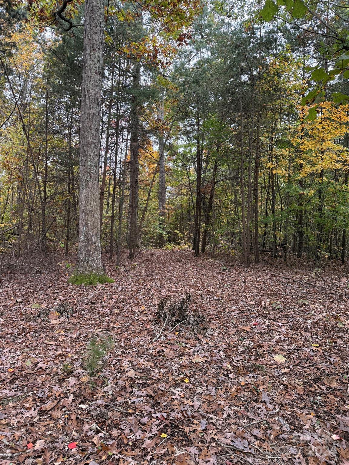 3295 Bowens Road