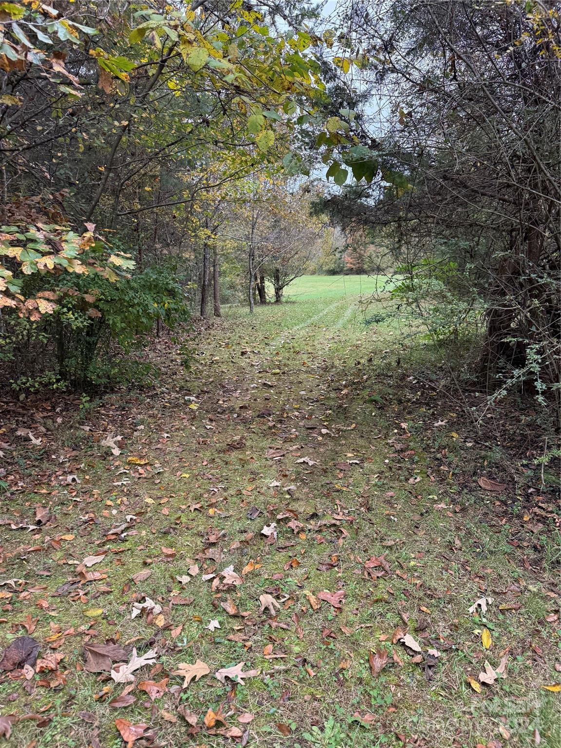 3295 Bowens Road