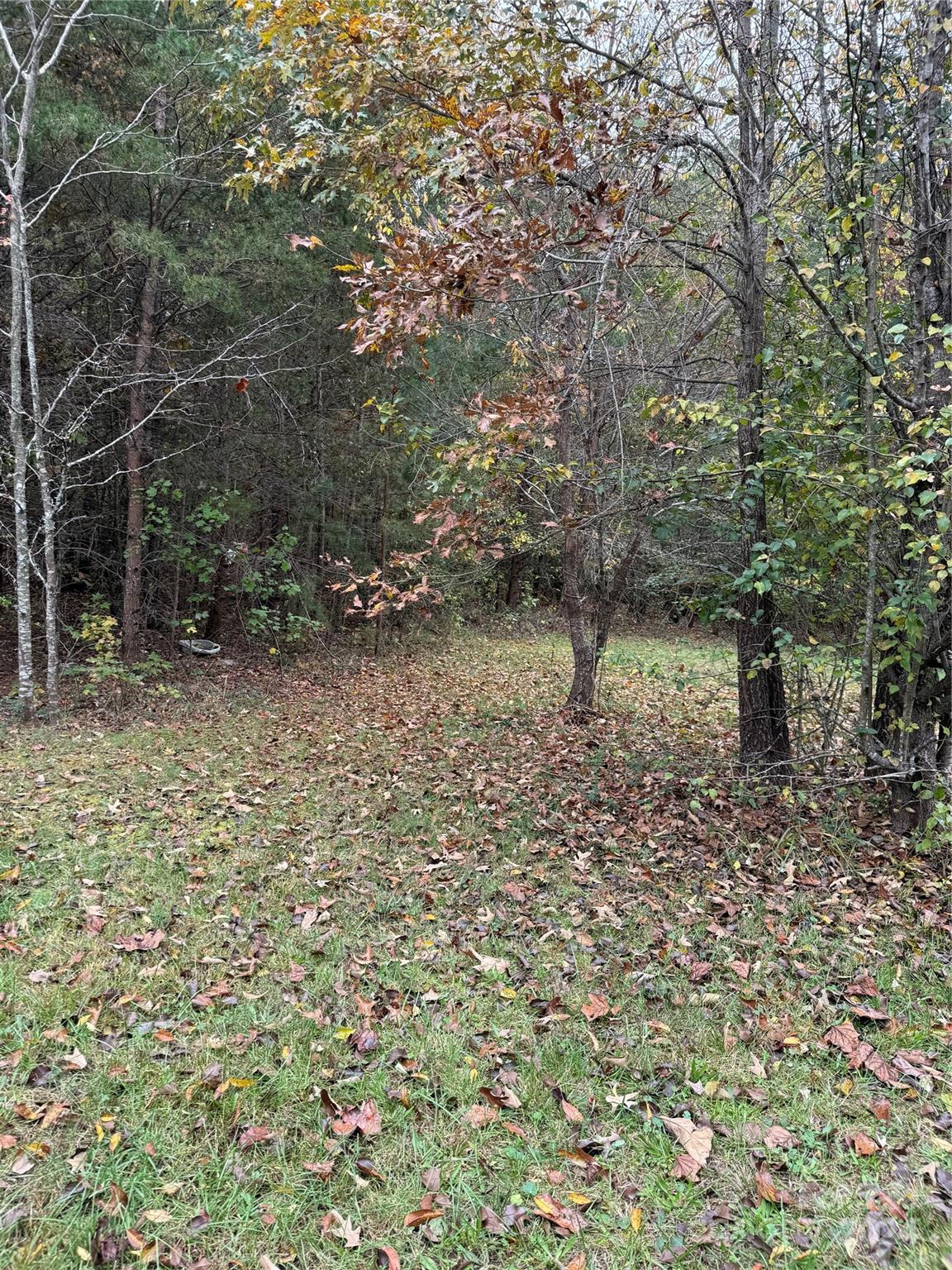 3295 Bowens Road