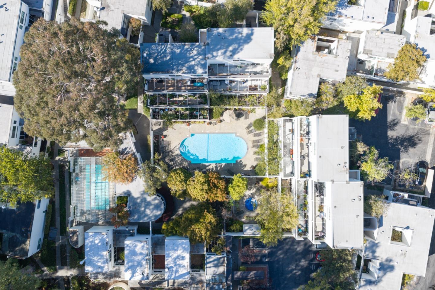 1919 Alameda De Las Pulgas 24