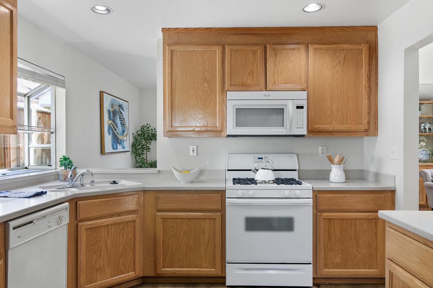 9342 Lariat Drive