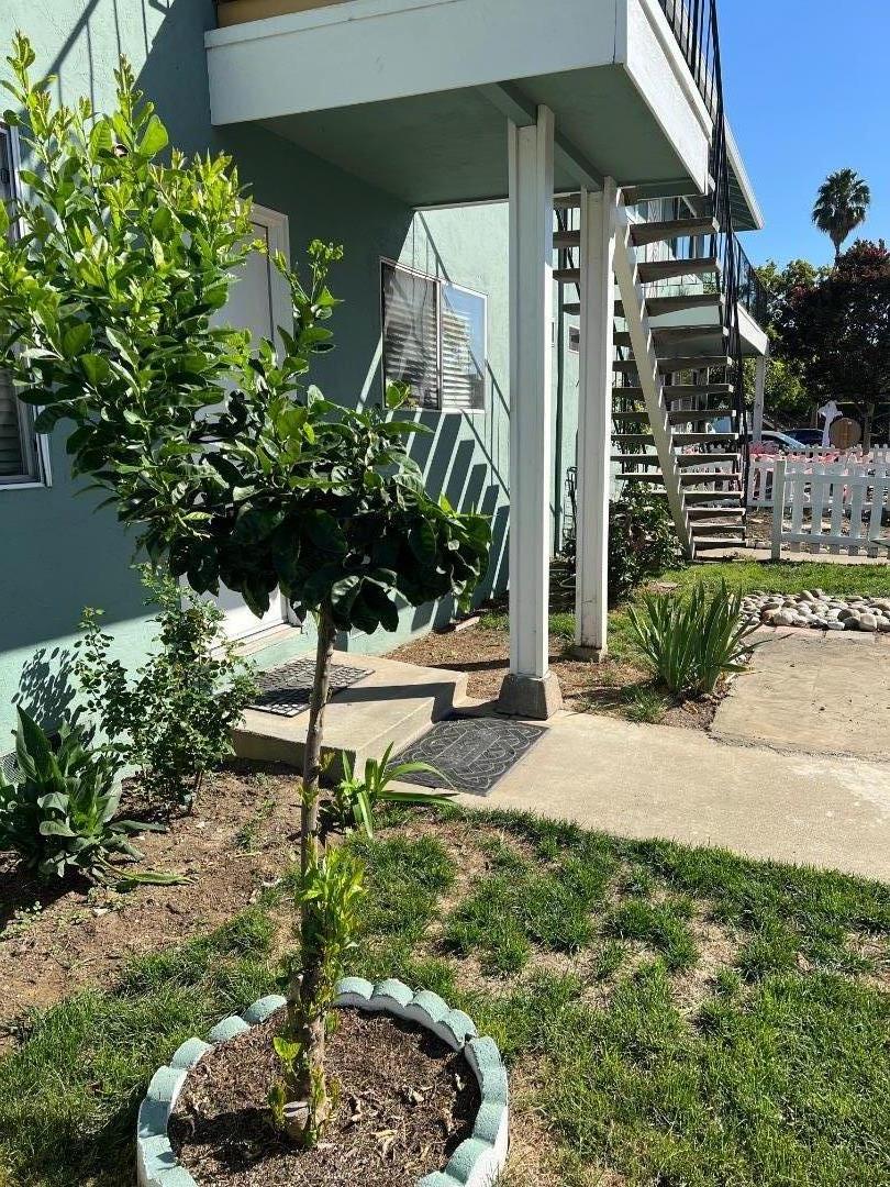 203 Wilton Drive