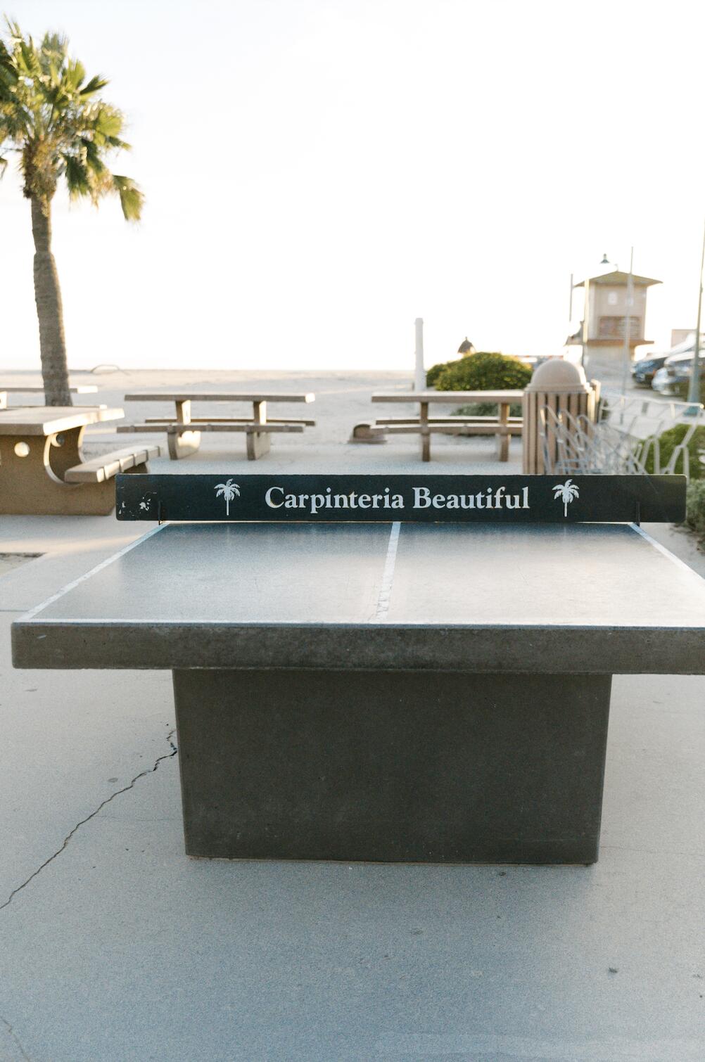 231 Linden Avenue 18