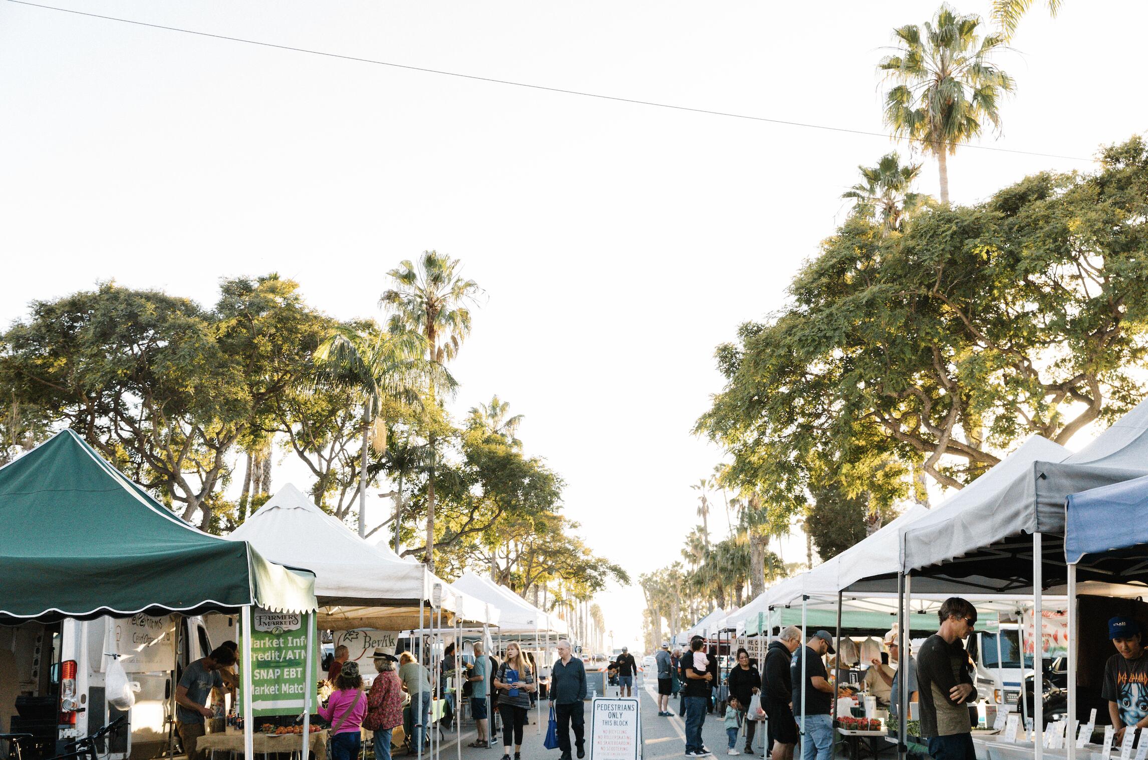 231 Linden Avenue 18