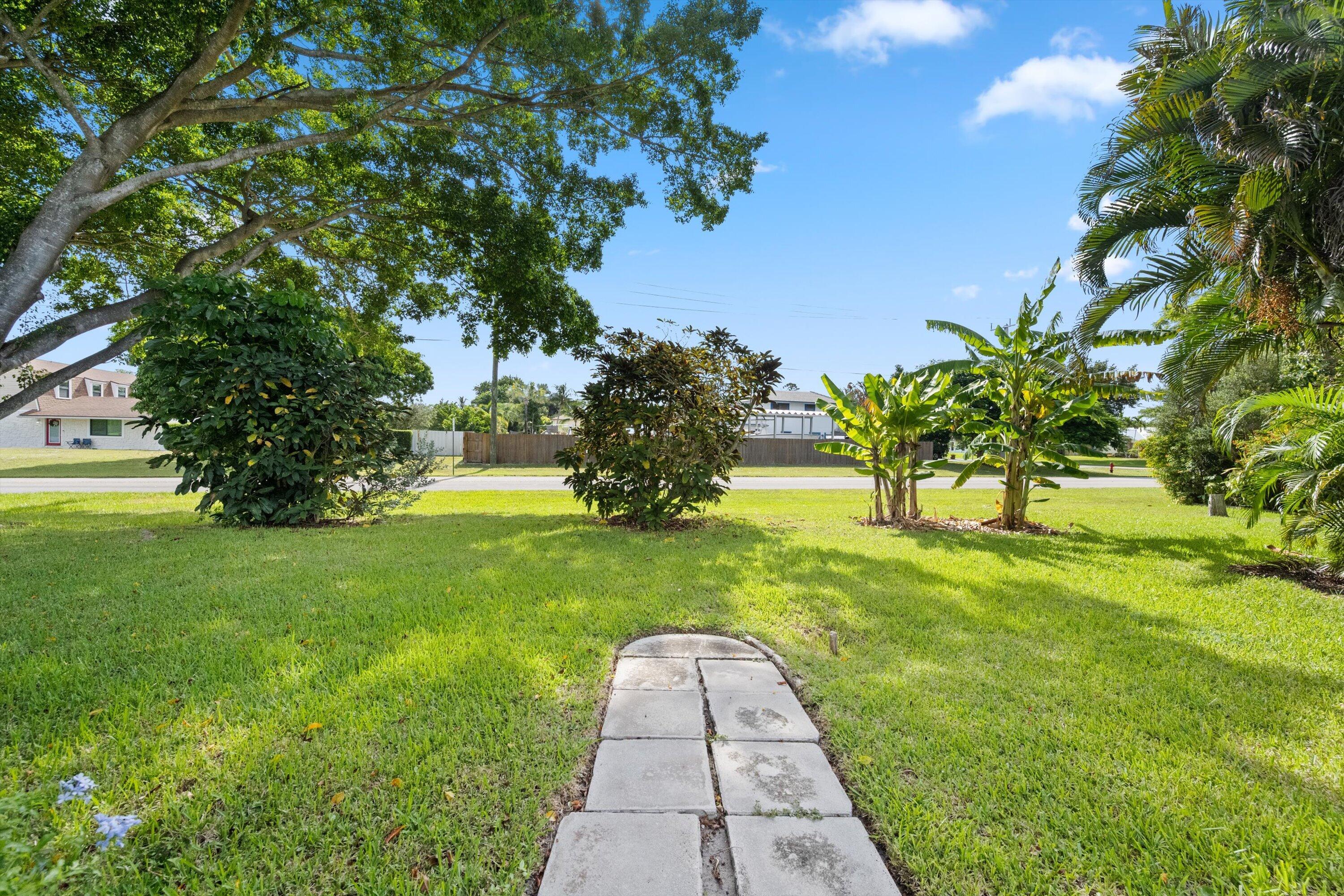 Front yard with a curved concrete walkway, broad lawn, mature trees, and tropical plants.