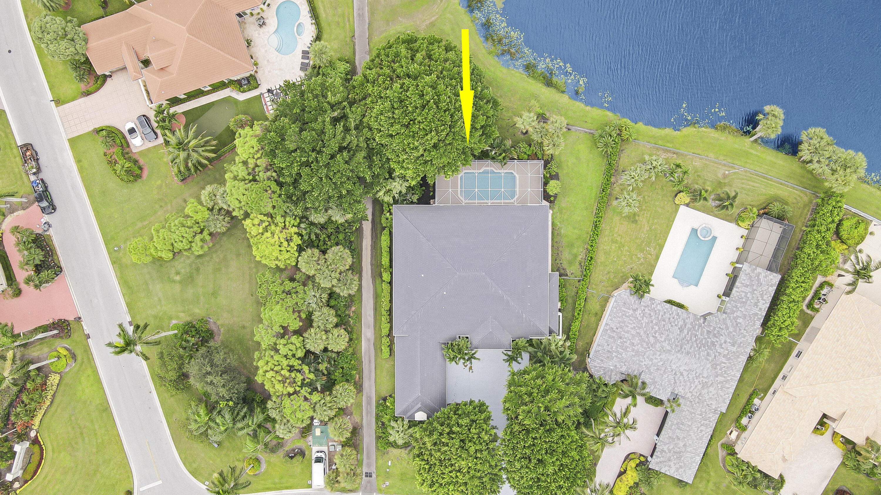 7739 Ironhorse Boulevard