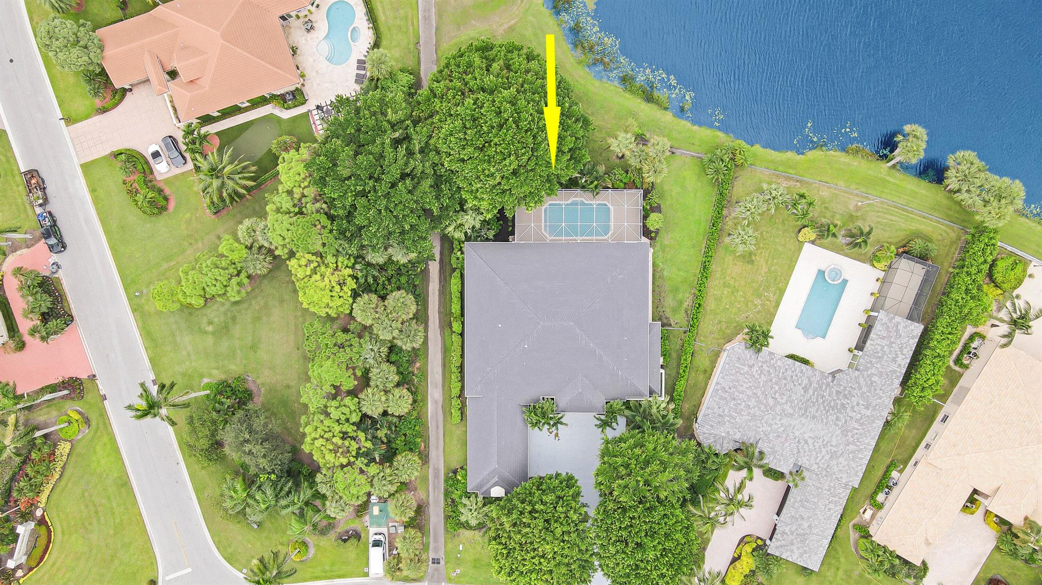 7739 Ironhorse Boulevard