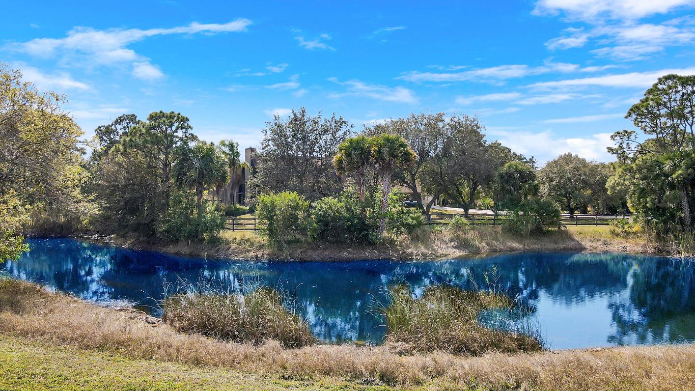 19602 Green Grove Court