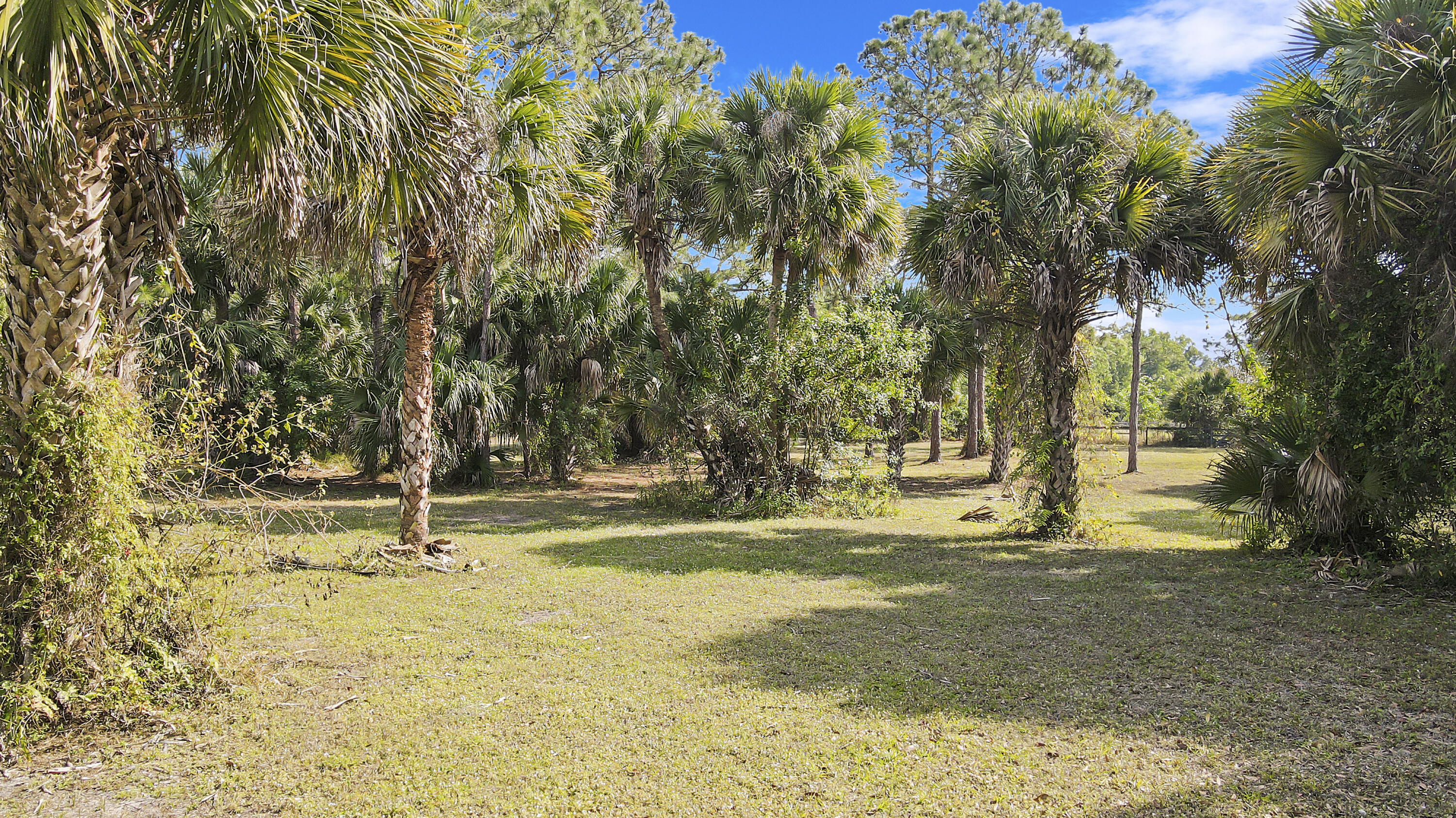 19602 Green Grove Court