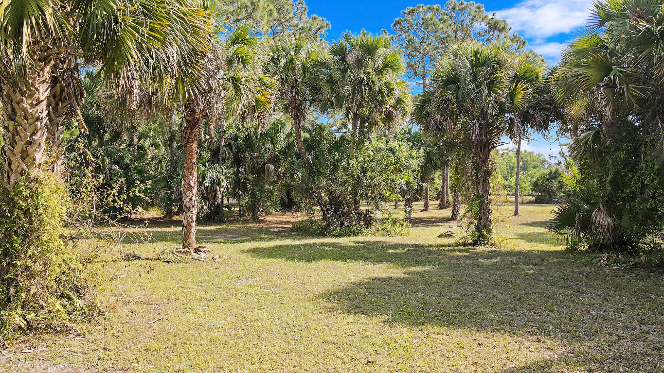 19602 Green Grove Court