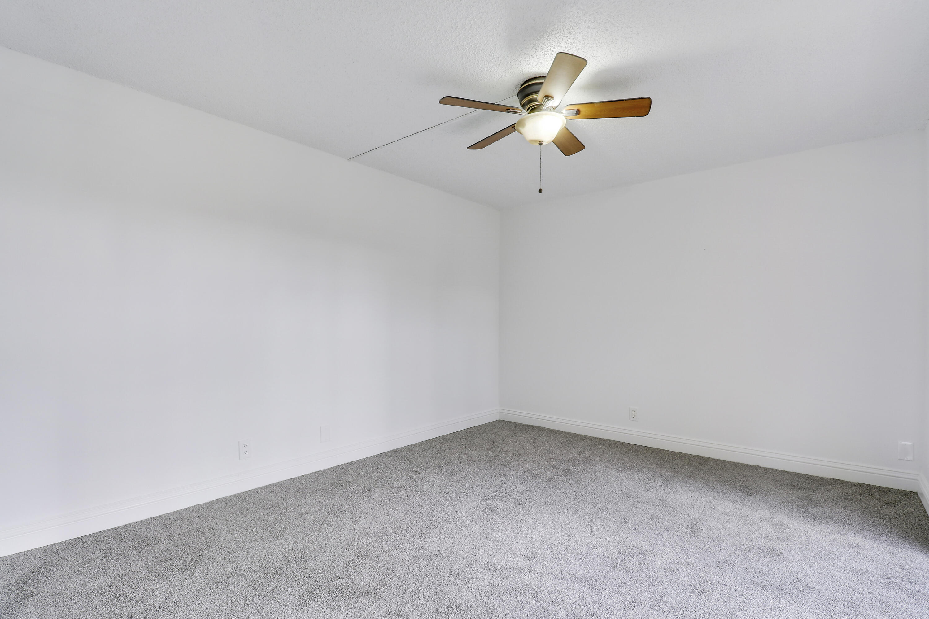 523 Springdale Circle