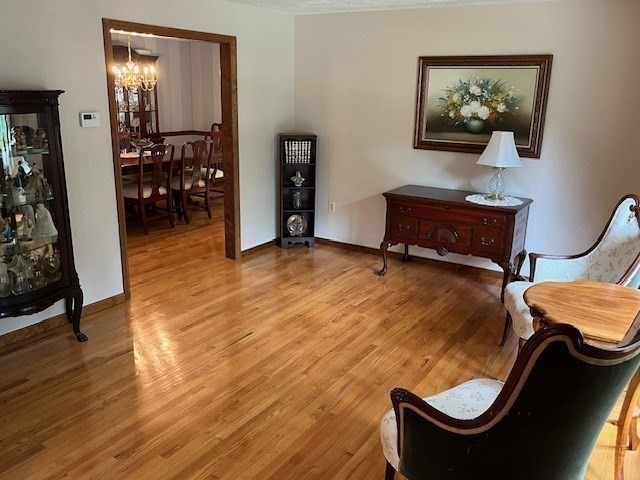 54 Tanya Drive