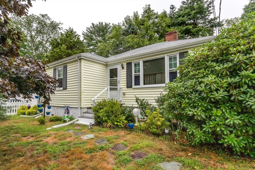 419 Canton Street